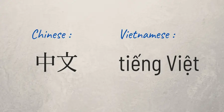 Kemiripan bahasa Vietnam dan China.