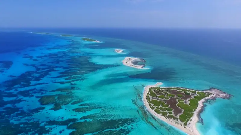 Laut China Selatan memiliki sumber daya perikanan yang melimpah.